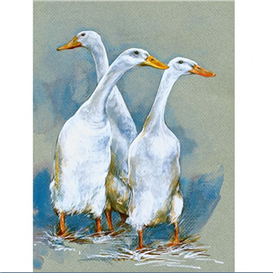 Elaine Franks Artwork - 'Walter Ron And Winifred' - Signed Limited Edition Print